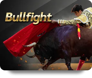 img-bullfight-square.webp
