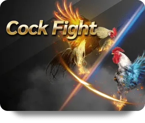 img-cockfight-square.webp