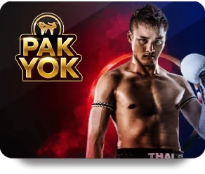 pak-yok.webp
